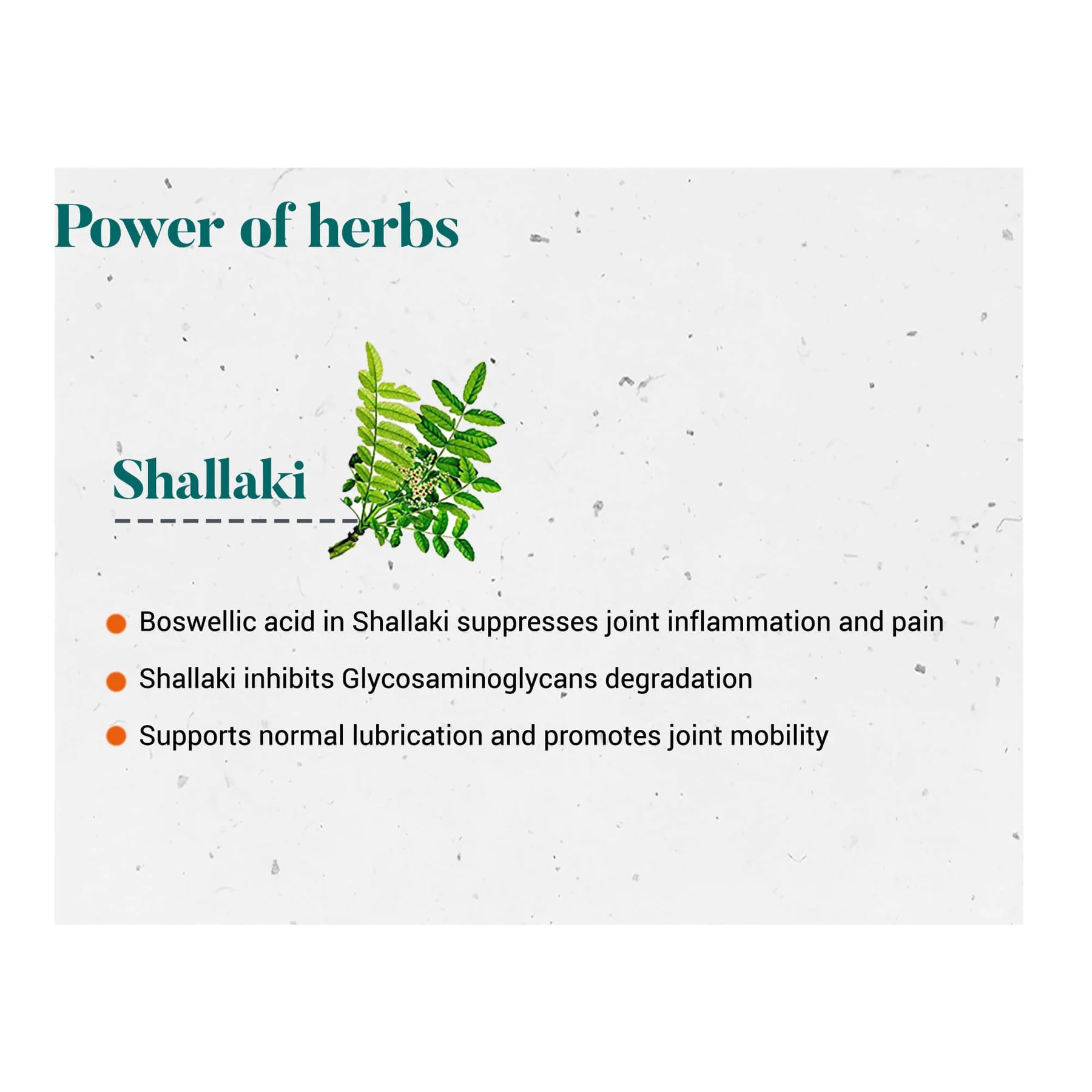 Himalaya Shallaki 60 Tablets