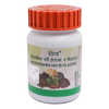 Vriddhivadhika Vati - 160 Tab. 40 GM