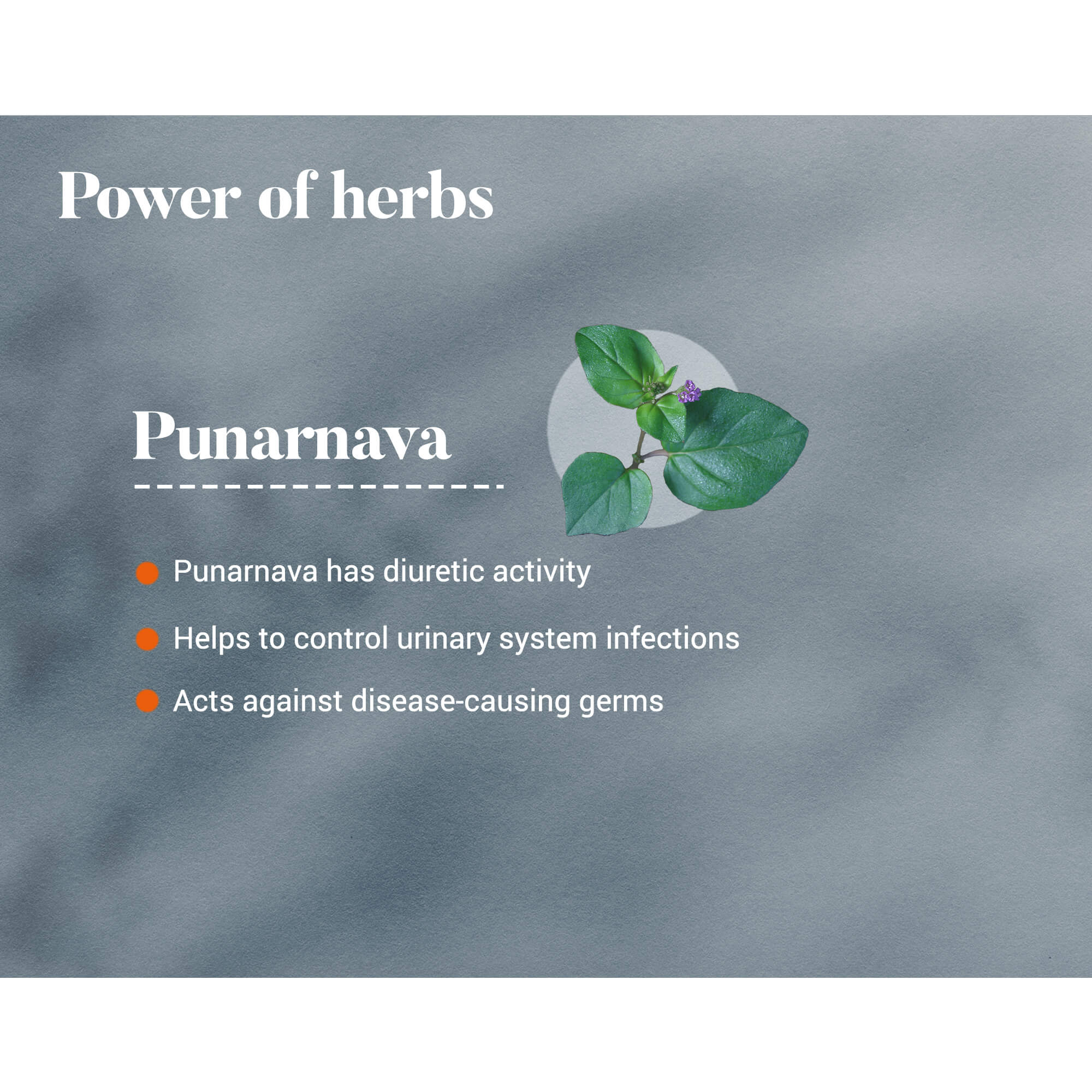 Himalaya Punarnava 60 Tablets